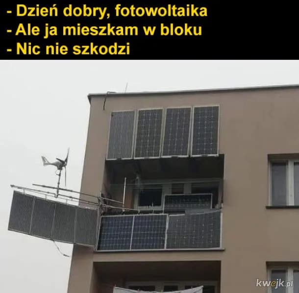 Fotowoltaika w bloku: dlaczego memy to hit? Analiza humoru