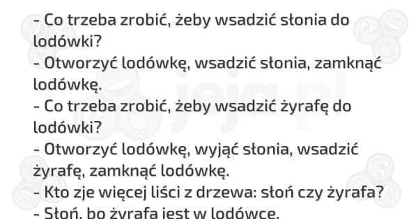 Zagadka o słoniu w lodówce: Rozwiązanie krok po kroku