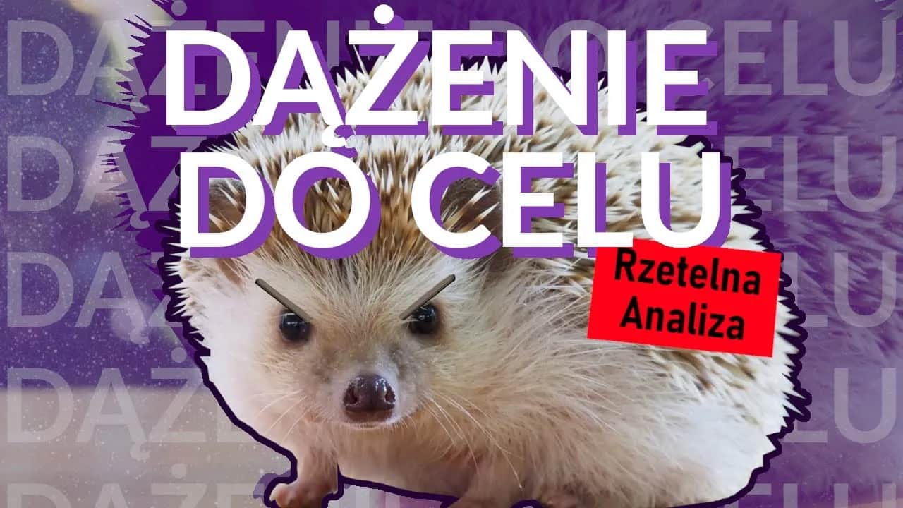 Dokąd nocą tupta jeż? Geneza i fenomen mema