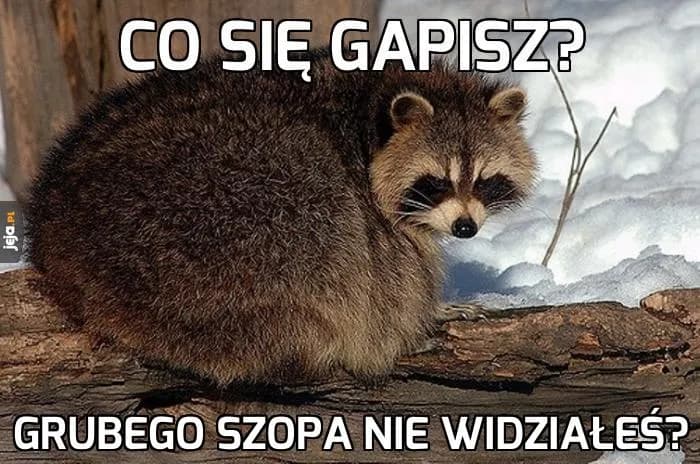 Foto Szop: Historia Kultowego Mema i Najlepsze Przeróbki