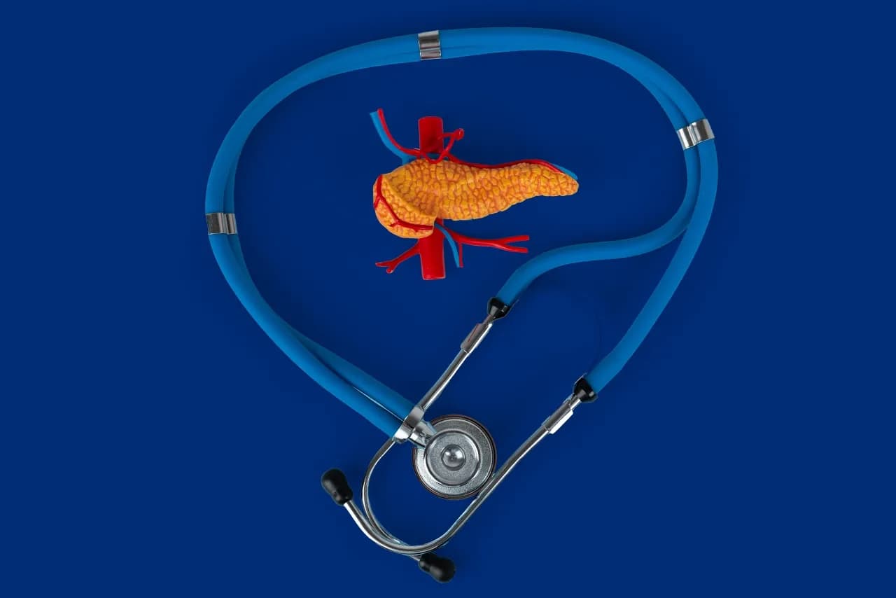 Życie bez trzustki: Czy to możliwe? Jak funkcjonować?